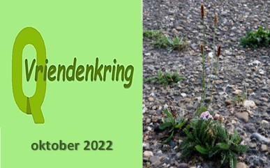 Vriendenkring oktober 2022