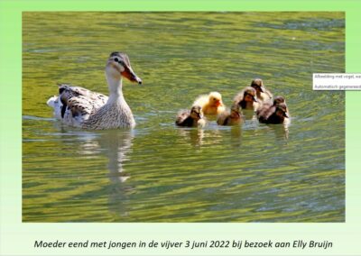 Vriendenkring juli-augustus 2023